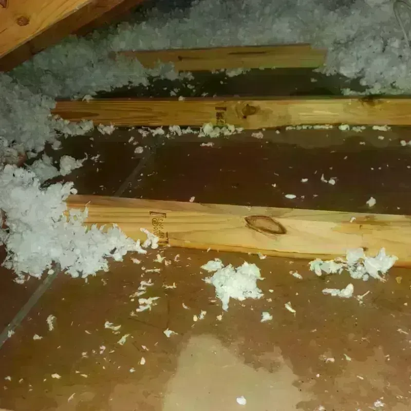 Attic Water Damage in Center, CO