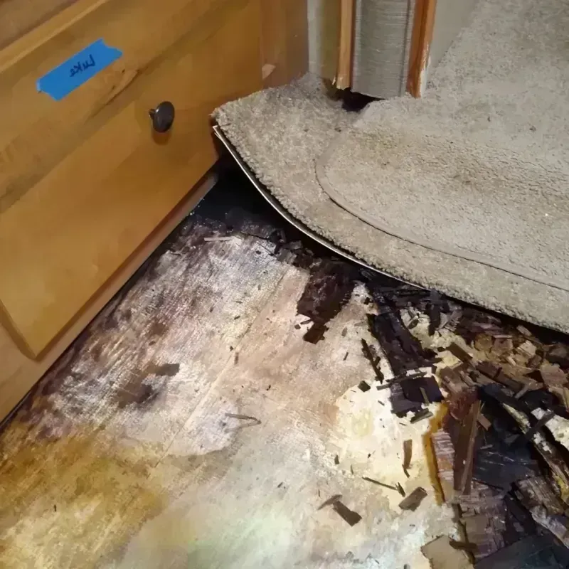 Wood Floor Water Damage in Center, CO